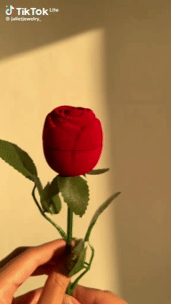 Boîte + Bague Romantique Rose