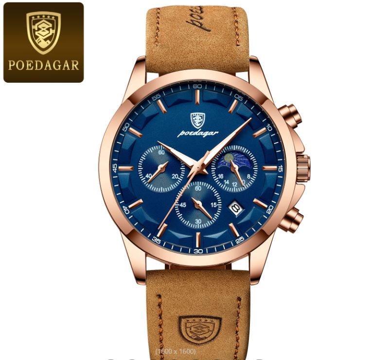 ⭐⭐⭐⭐⭐ Montre de luxe POEDAGAR ORIGINALE, bracelet en cuire de luxe, montre à Quartz étanche, calendrier lumineux chronographe, résistant à l'eau