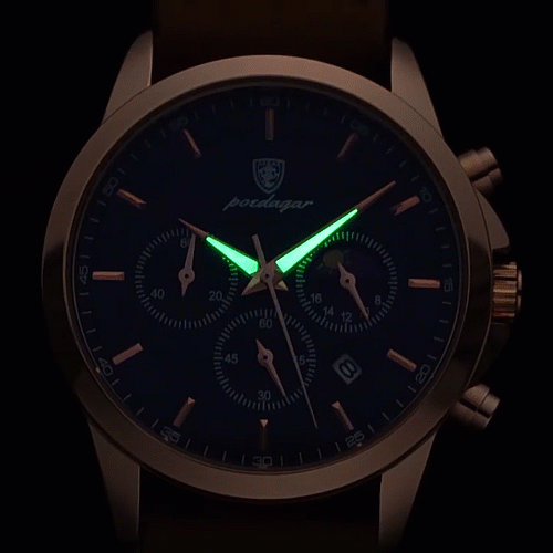 ⭐⭐⭐⭐⭐ Montre de luxe POEDAGAR ORIGINALE, bracelet en cuire de luxe, montre à Quartz étanche, calendrier lumineux chronographe, résistant à l'eau